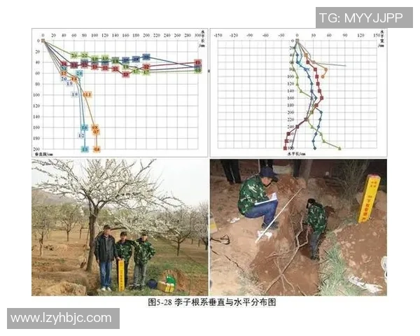 深圳滑板队速度表现分析及其对比赛成绩的影响研究